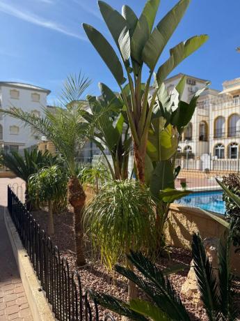 Dúplex en calle Mimosas, 5