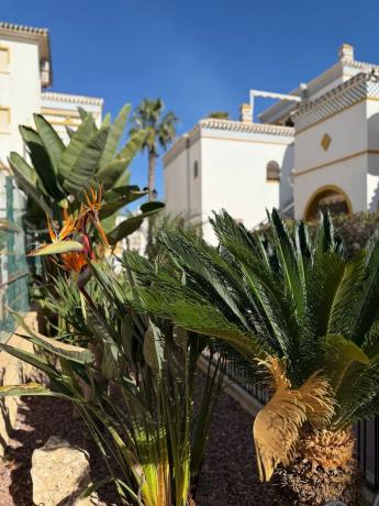 Dúplex en calle Mimosas, 5