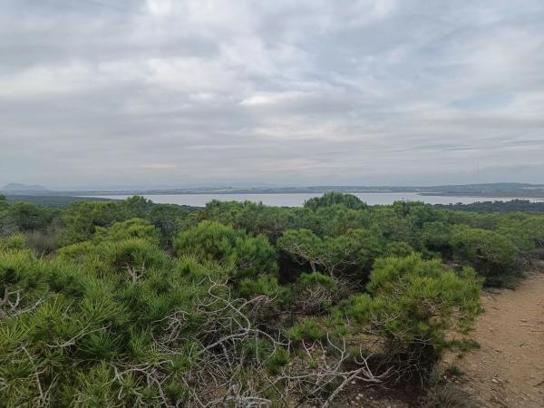 Dúplex en calle Segovia, 2