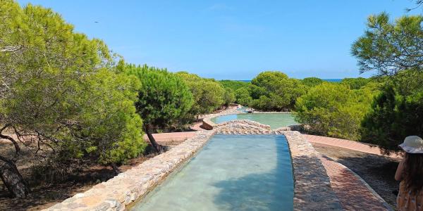 Dúplex en calle Segovia, 2