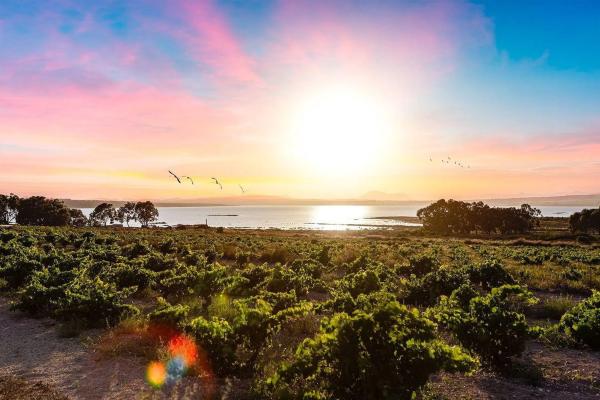 Estudio en avenida de los Europeos, 51