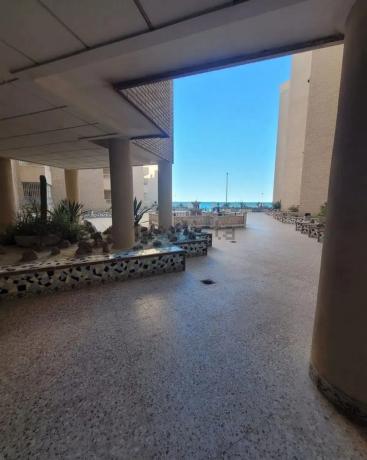 Estudio en avenida Doctor Mariano Ruiz Canovas, 5