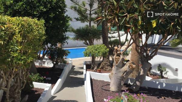 Estudio en alquiler en Los Cristianos, Arona