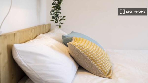 Shared apartment in Madrid