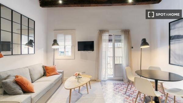 Apartamento de 2 dormitorios en alquiler en El Raval, Barcelona