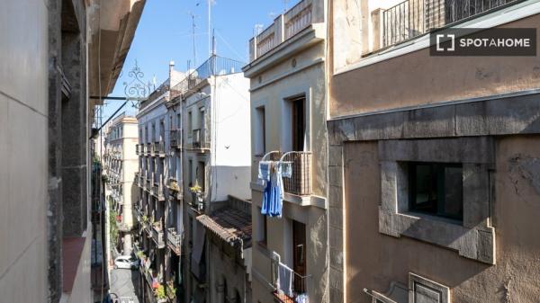 Apartamento de 2 dormitorios en alquiler en El Raval, Barcelona
