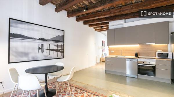 Apartamento de 2 dormitorios en alquiler en El Raval, Barcelona