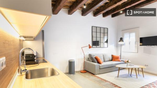Apartamento de 2 dormitorios en alquiler en El Raval, Barcelona