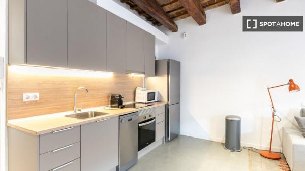 Apartamento de 2 dormitorios en alquiler en El Raval, Barcelona