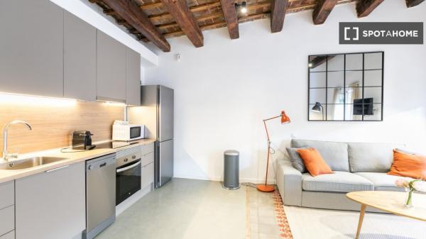 Apartamento de 2 dormitorios en alquiler en El Raval, Barcelona