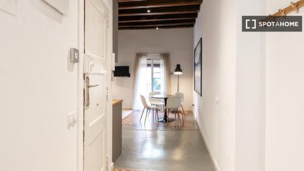Apartamento de 2 dormitorios en alquiler en El Raval, Barcelona
