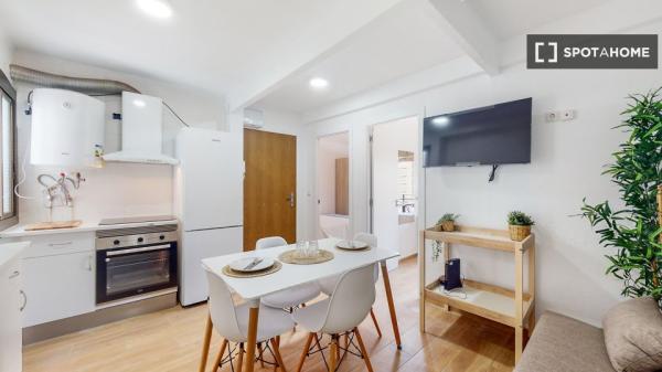 Wspólne mieszkanie w Walencji