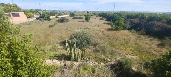 Casa rural en partida del moco s/n