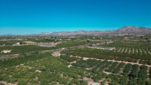 Chalet adosado en avenida País Valenciano