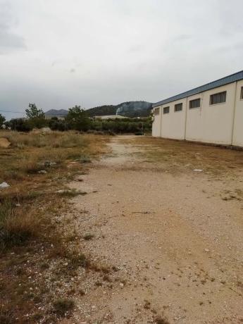 Nave en carretera de Biar a Cañada