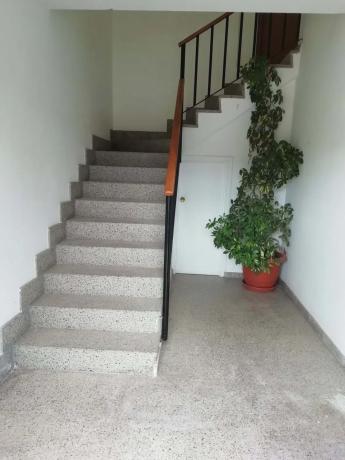 Nave en carretera de Biar a Cañada