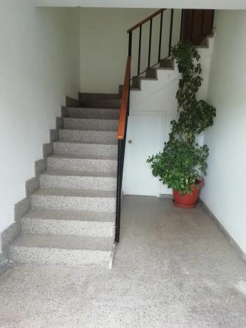 Nave en carretera de Biar a Cañada, 2 b