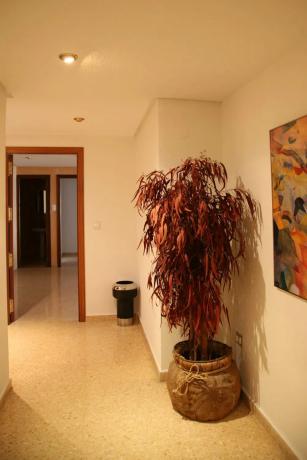 Local en calle de la Corredera, 1