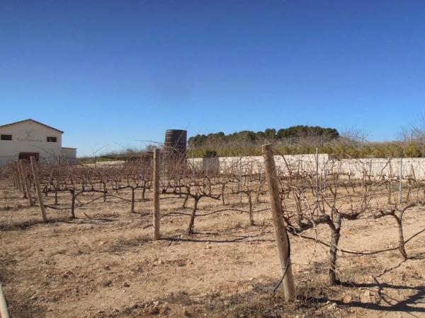 Nave en via de Alicante