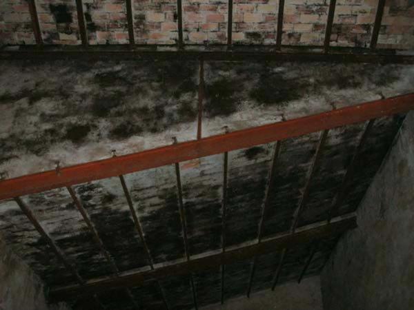 Local en santo tomás