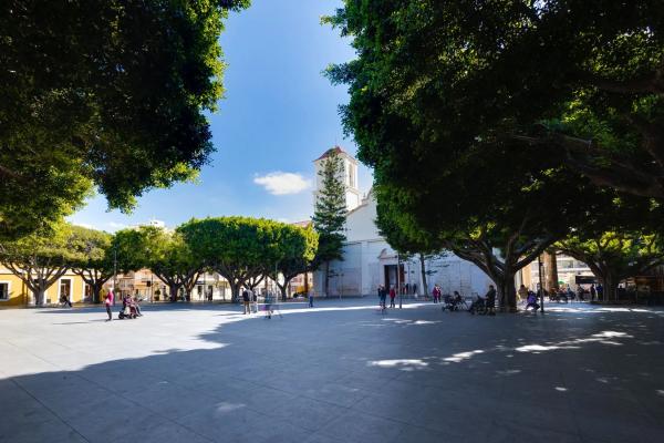 Local en Doctor Fleming, 7