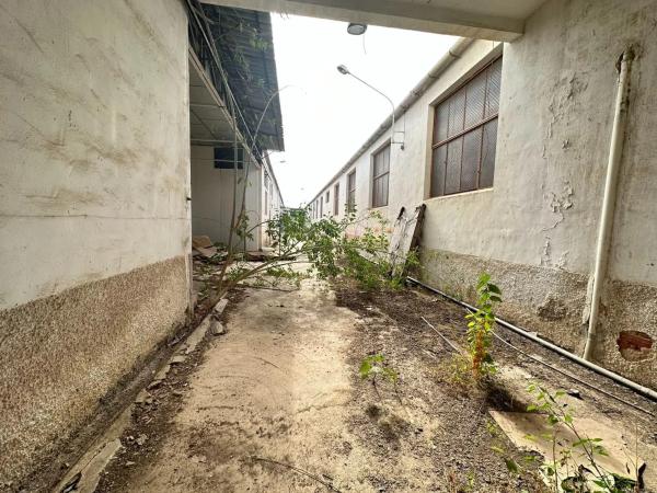 Nave en avenida de Orihuela