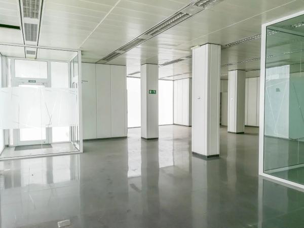 Local o nave en avenida Juan Carlos i