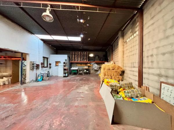 Local en Formentera del Segura