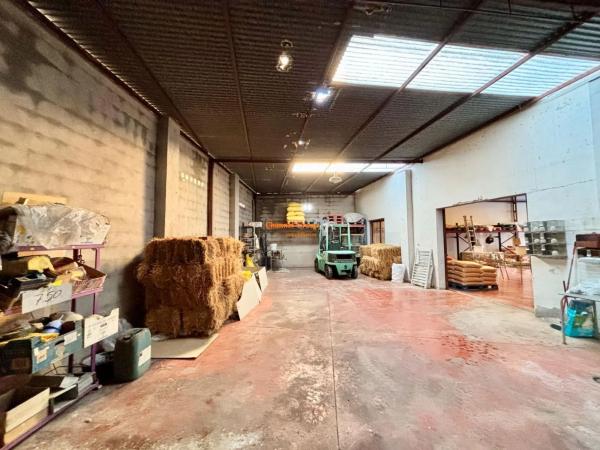 Local en Formentera del Segura