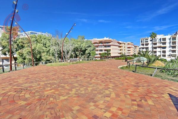 Local en calle Pintor Antonio López, 13