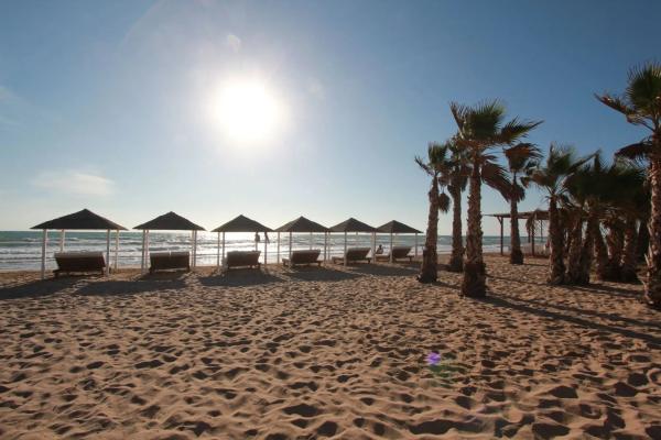 Local en Zona Pueblo