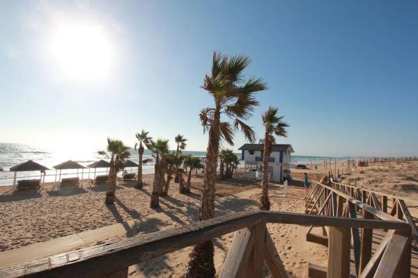 Local en Zona Pueblo