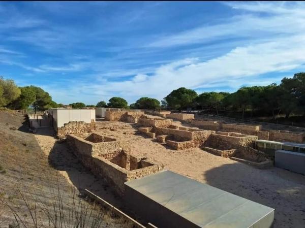 Local en calle Blasco Ibáñez