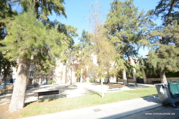 Local en Orihuela Ciudad