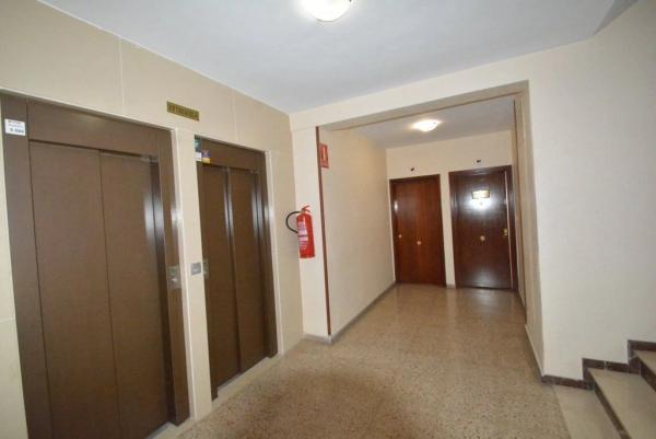 Local en Orihuela Ciudad