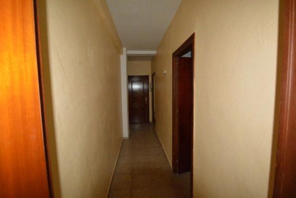 Local en Orihuela Ciudad