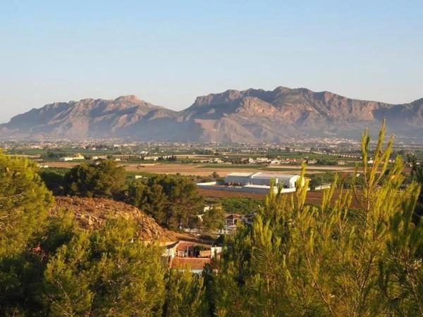 Local en calle Carmen