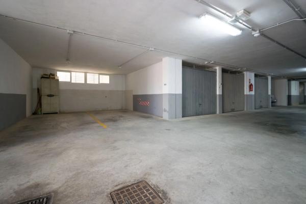 Local en avenida de las Adelfas