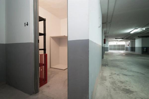 Local en avenida de las Adelfas