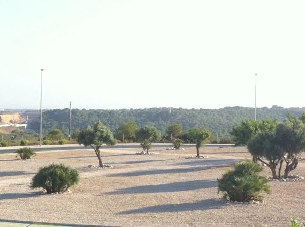 Local en calle Roca s/n