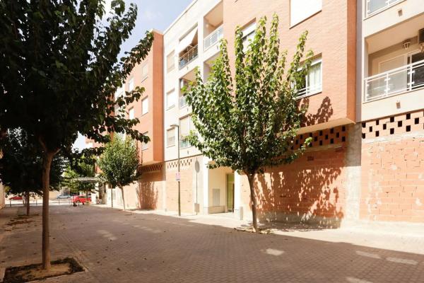 Local o nave en calle lo León