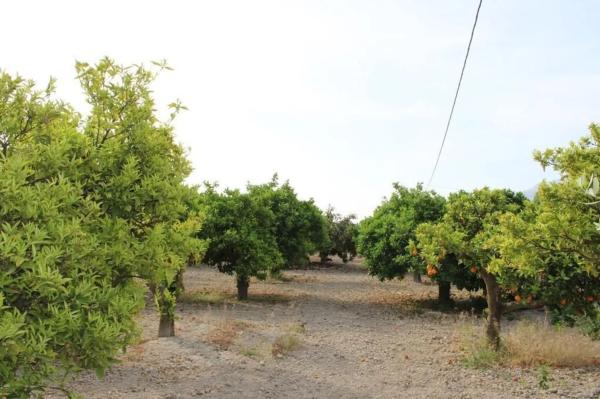Nave en carretera de Cádiz