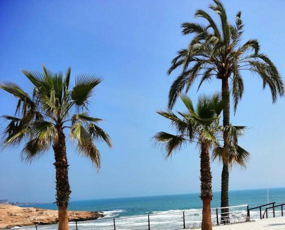 Local en Barrio Parque de las Naciones