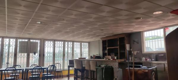 Local en calle Bogavante