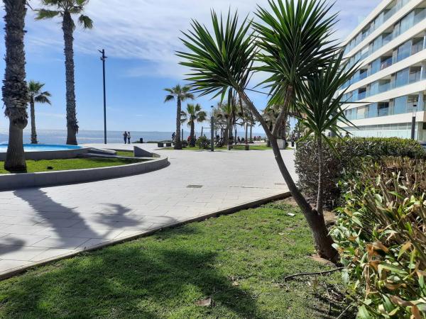 Local en avenida de la Purisima, 53