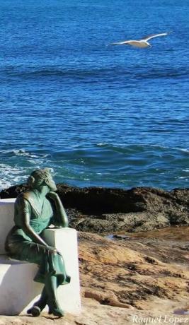 Local en calle Capitán García Gea