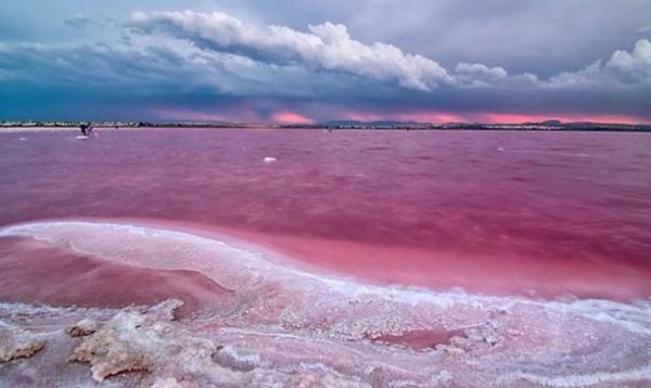 Local en calle Capitán García Gea