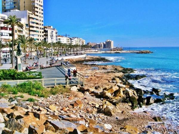 Local en calle Capitán García Gea