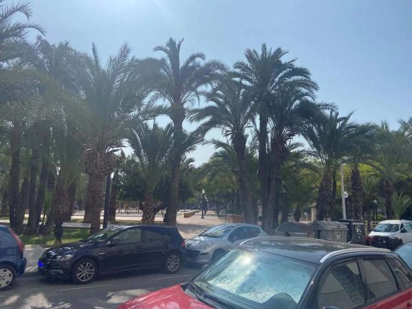 Local en calle Jaime Pomares Javaloyes