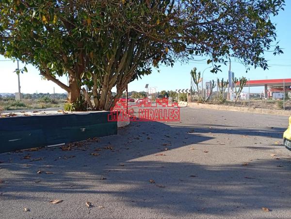 Local en La Galia-Bonavista